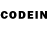 Псилоцибиновые грибы GOLDEN TEACHER Trebla 27