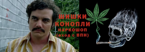 хмурый Дмитровск
