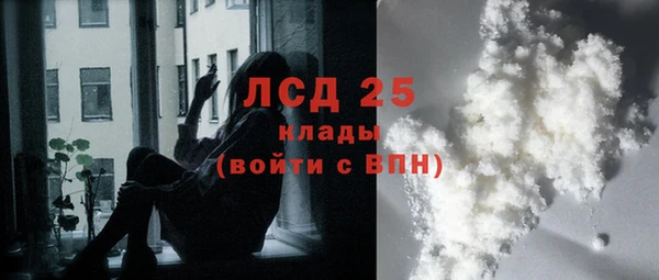 амф Дмитриев