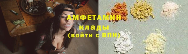 амф Дмитриев