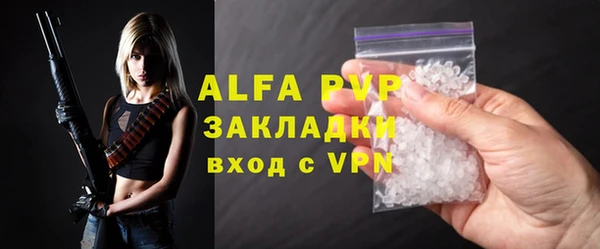 амф Дмитриев