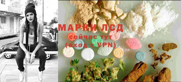индика Елизово