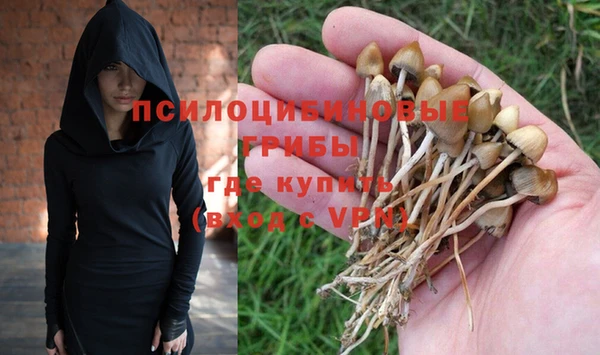 ALPHA PVP Дмитров